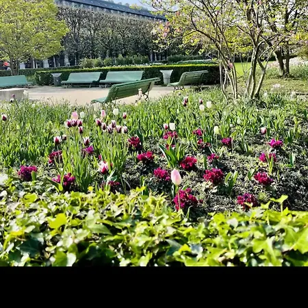 Exquisite City Center דירה
