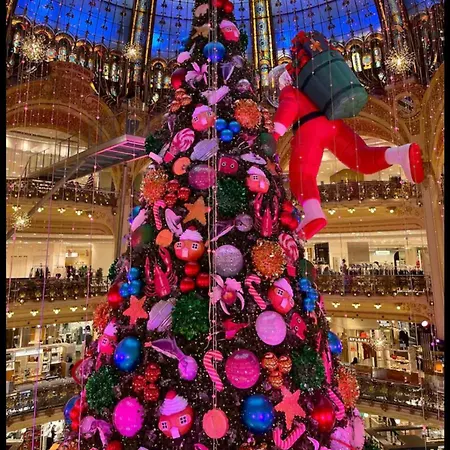 Exquisite City Center *